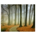 thumbnail image 1 of Masterpiece Art Gallery Misty Twisty Autumn Forest by Lars Van de Goor Canvas Photo Art Print 22" x 28", 1 of 2