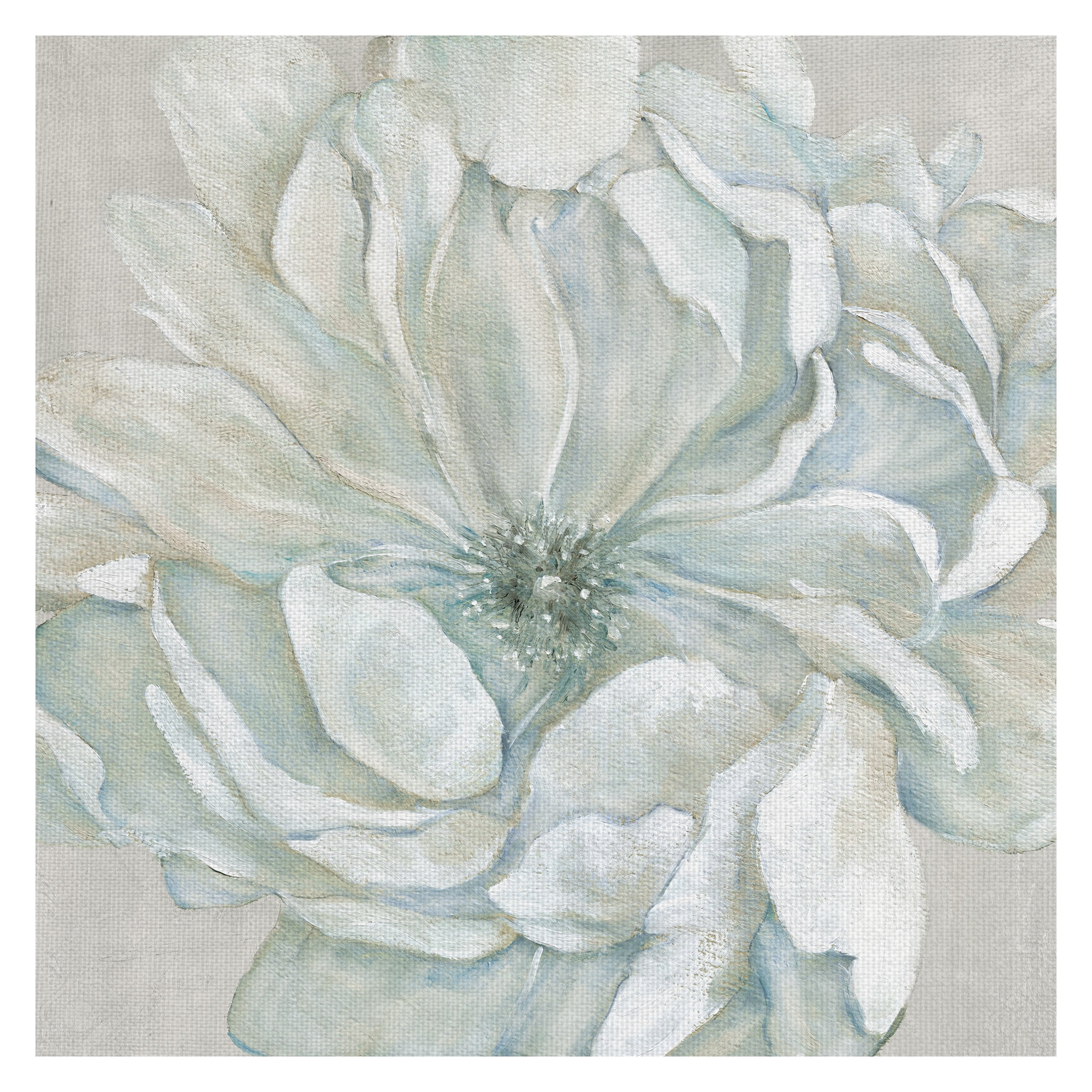 Masterpiece Art Gallery Morning Flower Petals I Square By Carol Robinson Canvas Art Print24" x 24"