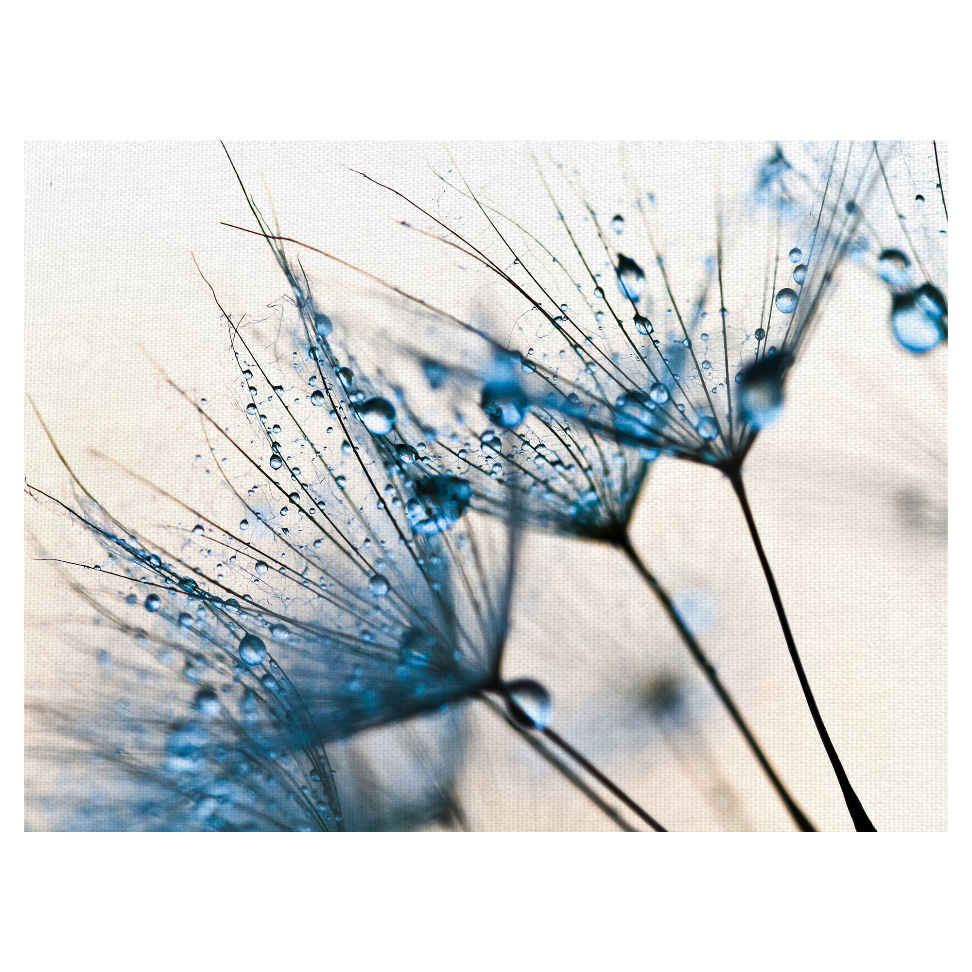 Masterpiece Art Gallery Mystic Blues Prairie Smoke by PhotoINC Studio Canvas Art Print 30" x 40"