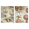 thumbnail image 1 of Masterpiece Art Gallery Nautical Illuminations No. 1 And 3 Sea Creatures By Alan Blaustein Canvas Art Print Set Of 2 (18" x 24"), 1 of 4