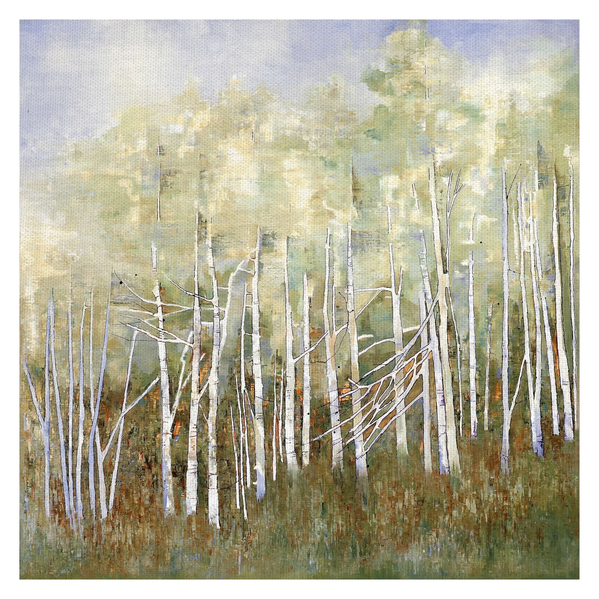 Masterpiece Art Gallery Necessary Change, Summer Birch By Danna Harvey Canvas Art Print 35" x 35"