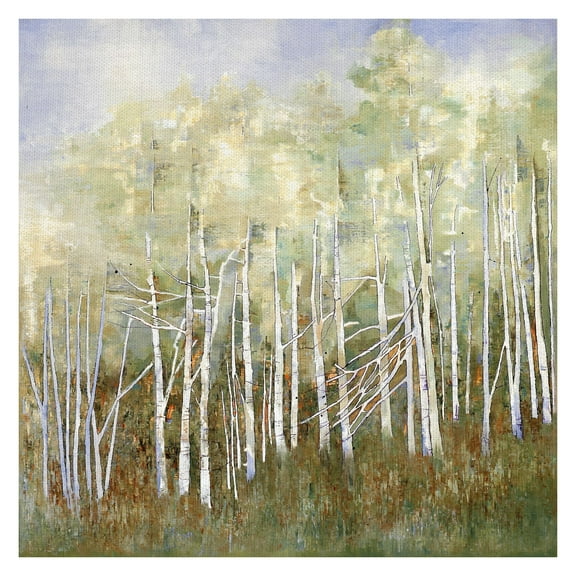 Masterpiece Art Gallery Necessary Change, Summer Birch By Danna Harvey Canvas Art Print 35" x 35"