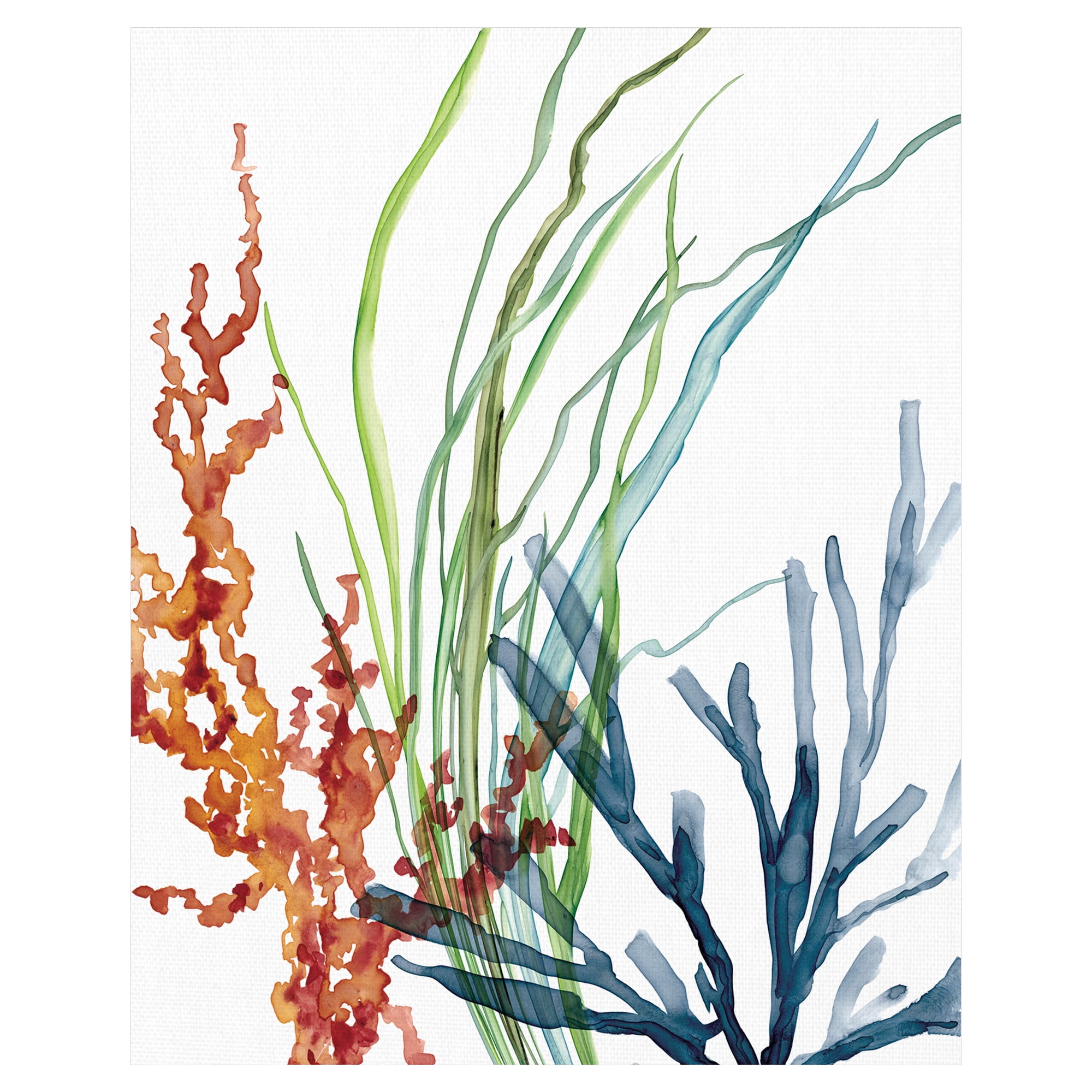 Masterpiece Art Gallery Ocean Magic I Marine Botanical by Carol Robinson Canvas Art Print