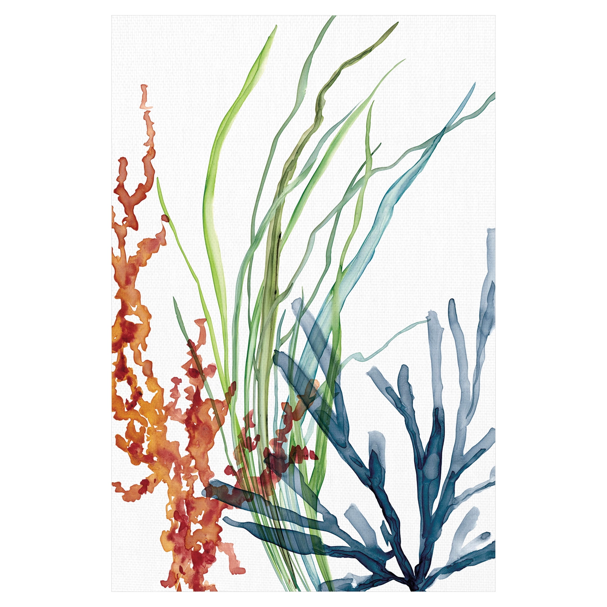 Masterpiece Art Gallery Ocean Magic I Marine Botanical by Carol Robinson Canvas Art Print