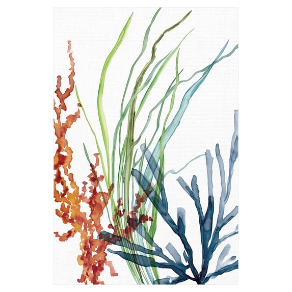 Masterpiece Art Gallery Ocean Magic I Marine Botanical by Carol Robinson Canvas Art Print