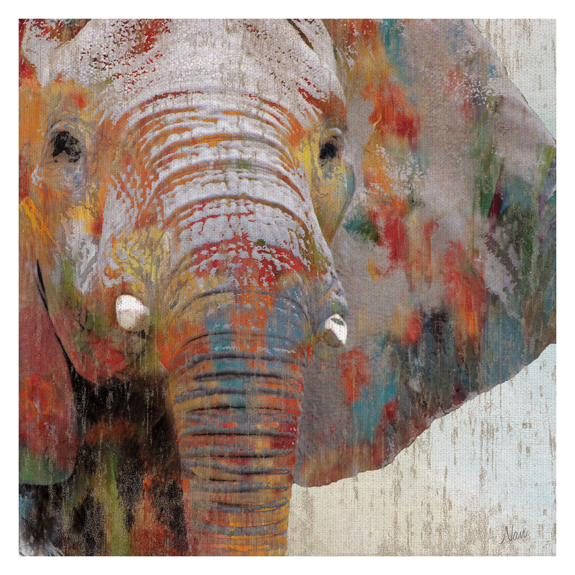 Masterpiece Art Gallery Paint Splash Elephant By Nan Canvas Art Print 35" x 35"