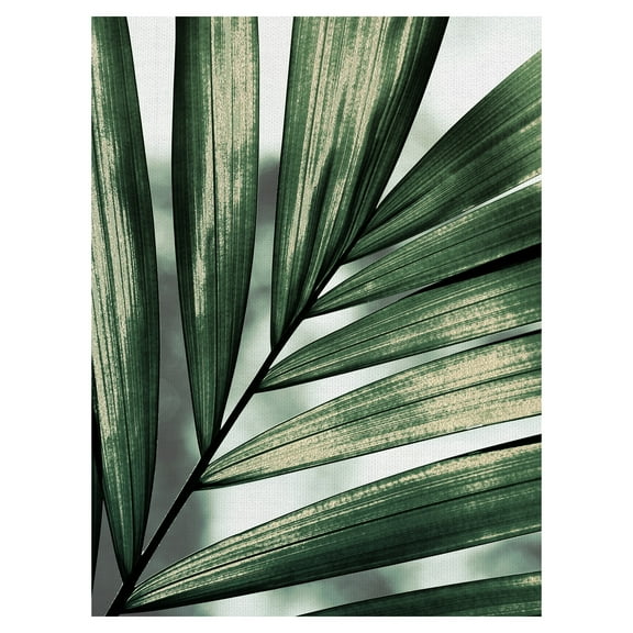 Masterpiece Art Gallery Palm Frond By Belle Maison Canvas Art Print 18" x 24"