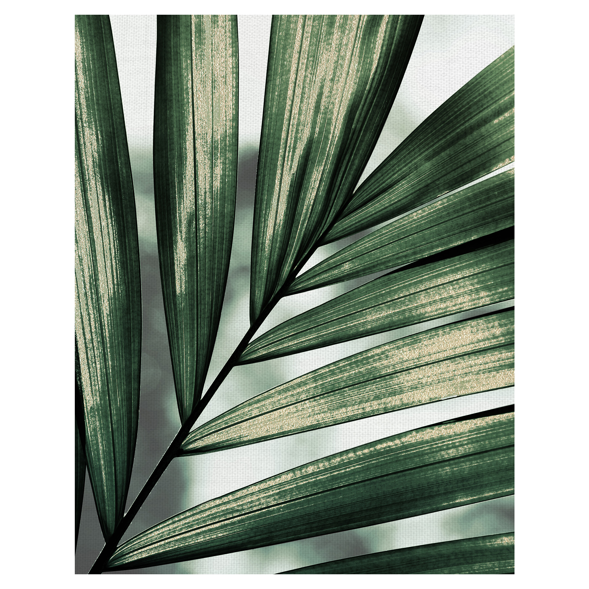 Masterpiece Art Gallery Palm Frond By Belle Maison Canvas Art Print 22" x 28"