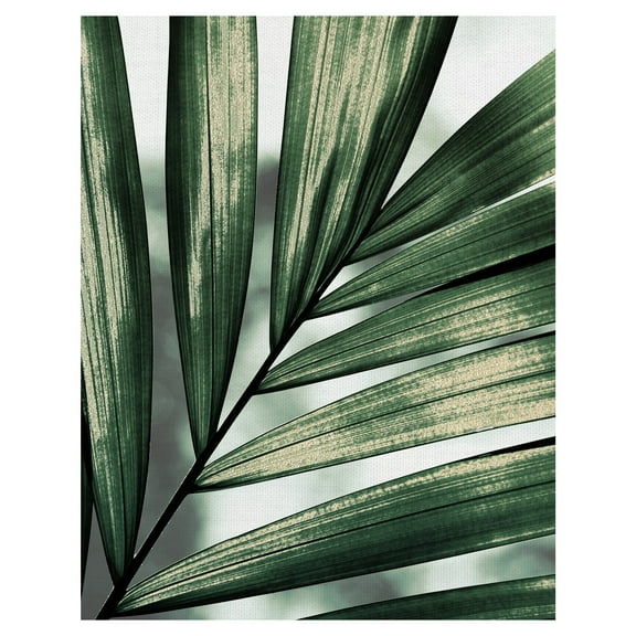 Masterpiece Art Gallery Palm Frond By Belle Maison Canvas Art Print 22" x 28"