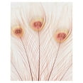 thumbnail image 1 of Masterpiece Art Gallery Peach Peacock Feathers by Belle Maison Canvas Photo Art Print 22" x 28", 1 of 2