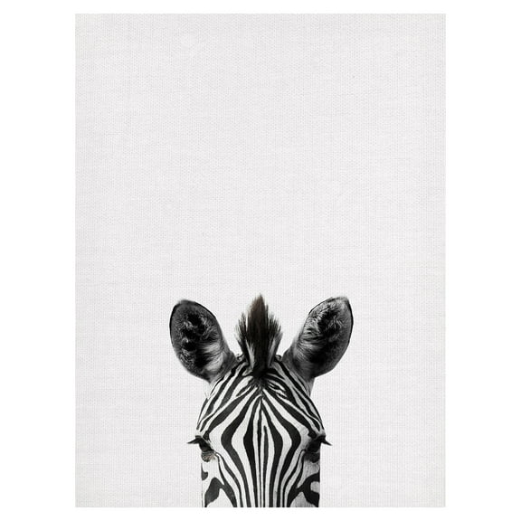 Masterpiece Art Gallery Peeking Zebra By Belle Maison Canvas Art Print 18" x 24"