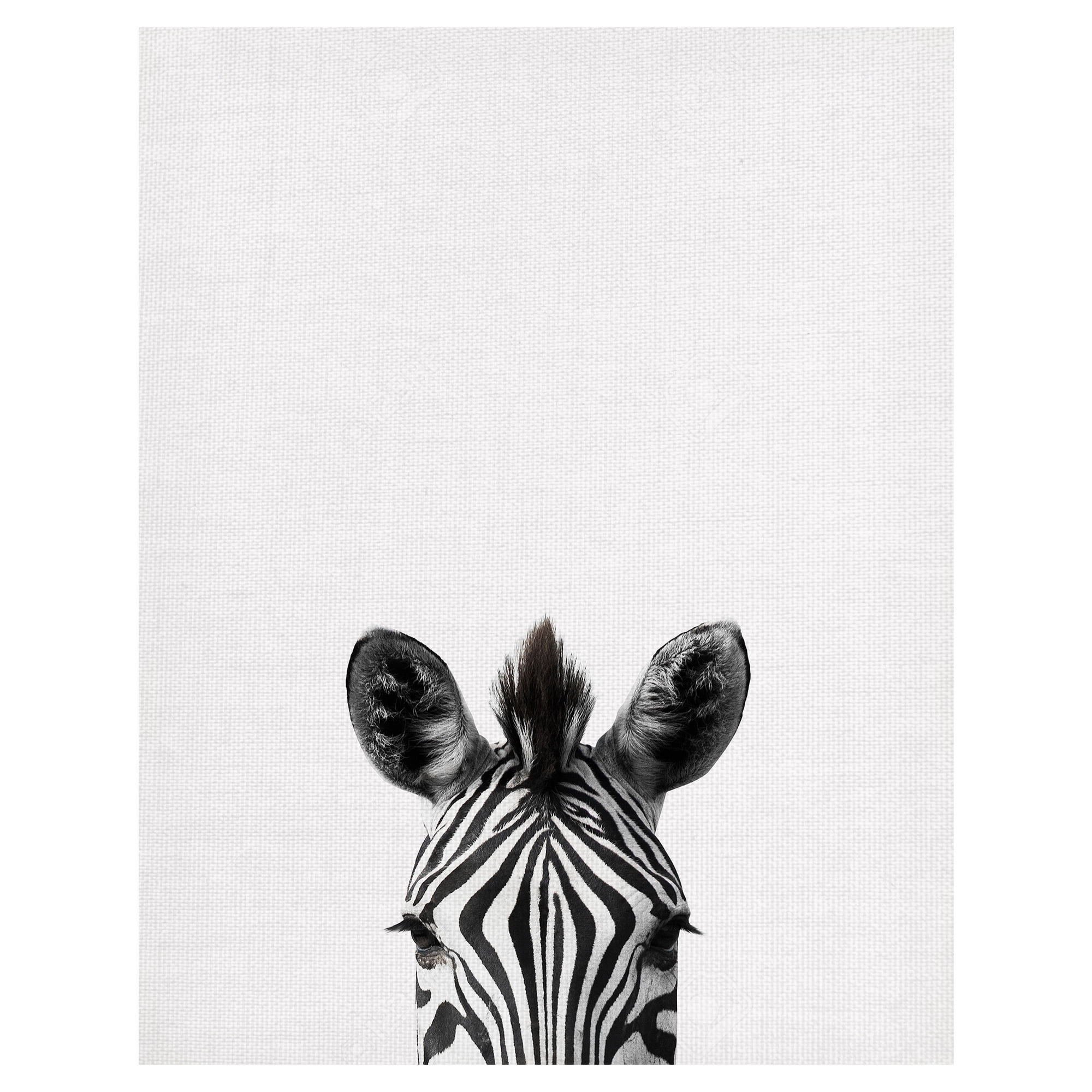 Masterpiece Art Gallery Peeking Zebra By Belle Maison Canvas Art Print 22" x 28"