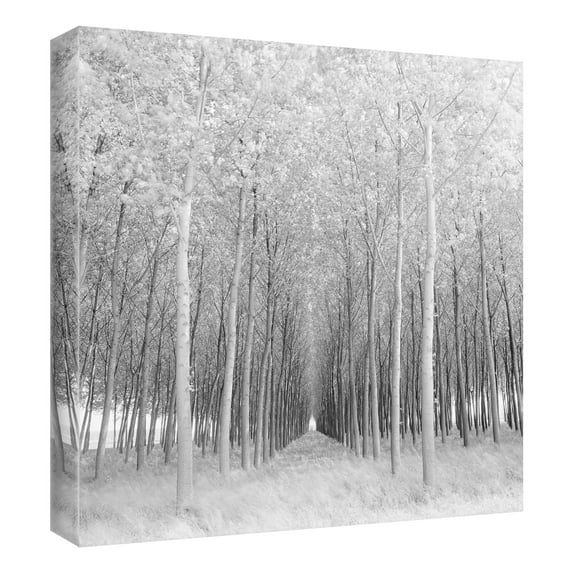 Masterpiece Art Gallery Perspective Snowy Forest By Chip Forelli Canvas Art Print 35" x 35"