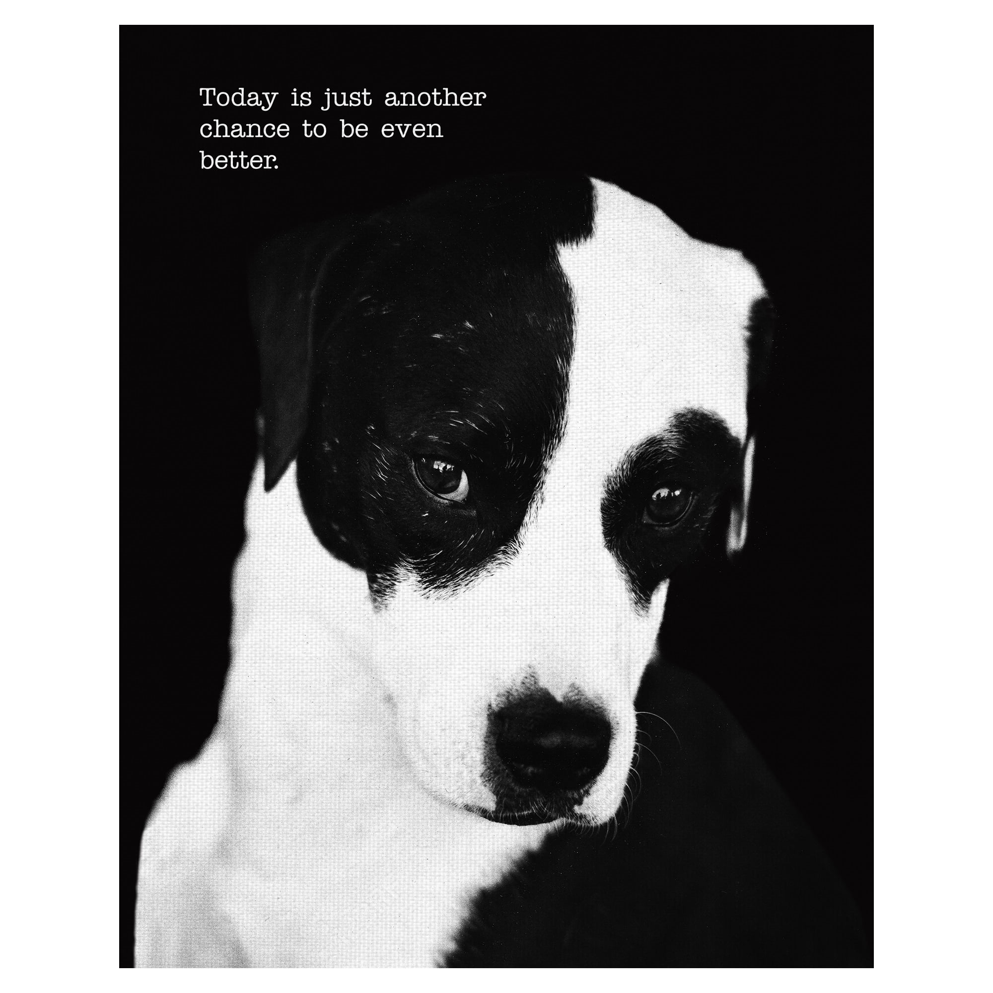Masterpiece Art Gallery Petey The Dog By Frank Bruynbroek Canvas Art Print 16" x 20"
