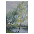 thumbnail image 1 of Masterpiece Art Gallery Poetry On Riverbank Tree By Clement Nivert Canvas Art Print 24" x 36", 1 of 4