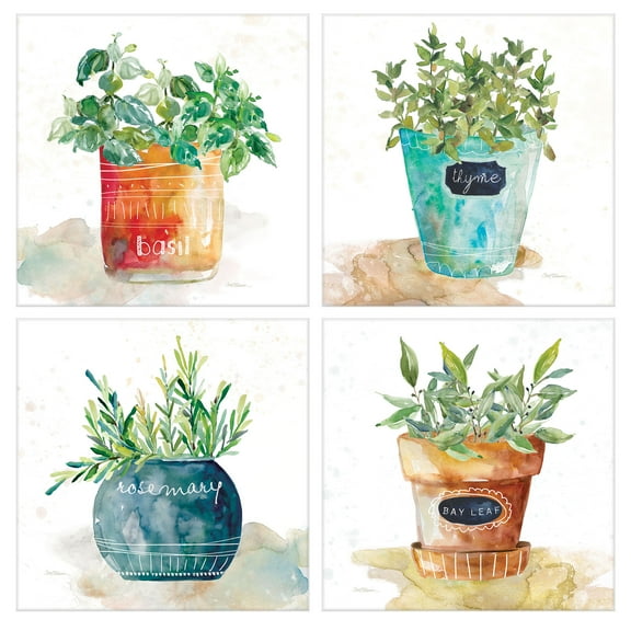 Masterpiece Art Gallery Potted Basil Bay Leaf Rosemary Thyme Herbs By Carol Robinson Canvas Art Print Set Of 4 (16" x 16")