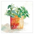 thumbnail image 1 of Masterpiece Art Gallery Potted Basil By Carol Robinson Canvas Art Print 12" x 12", 1 of 2