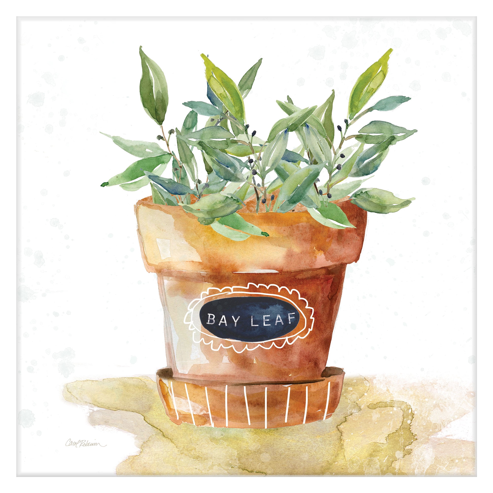Masterpiece Art Gallery Potted Bay Leaf By Carol Robinson Canvas Art Print 16" x 16"