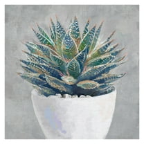 Masterpiece Art Gallery Potted Succulent I By Studio Arts Canvas Art Print 20" x 20"