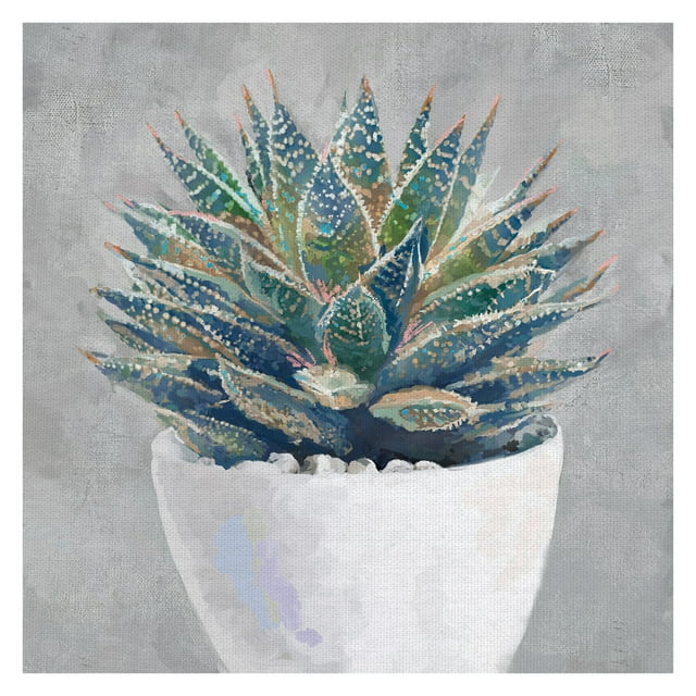 Masterpiece Art Gallery Potted Succulent I By Studio Arts Canvas Art ...