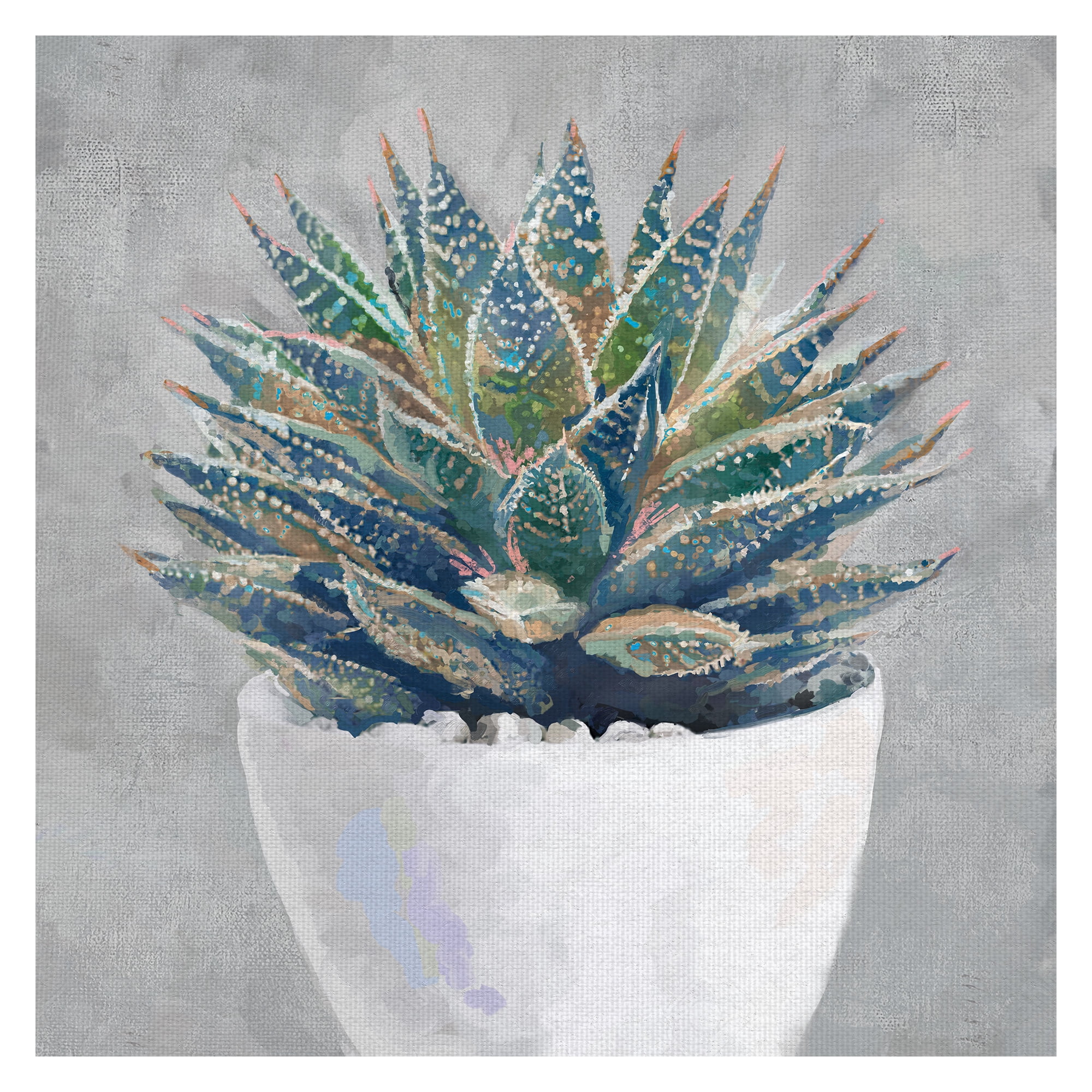 Masterpiece Art Gallery Potted Succulent I By Studio Arts Canvas Art Print 24" x 24"
