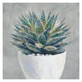thumbnail image 1 of Masterpiece Art Gallery Potted Succulent I By Studio Arts Canvas Art Print 24" x 24", 1 of 4