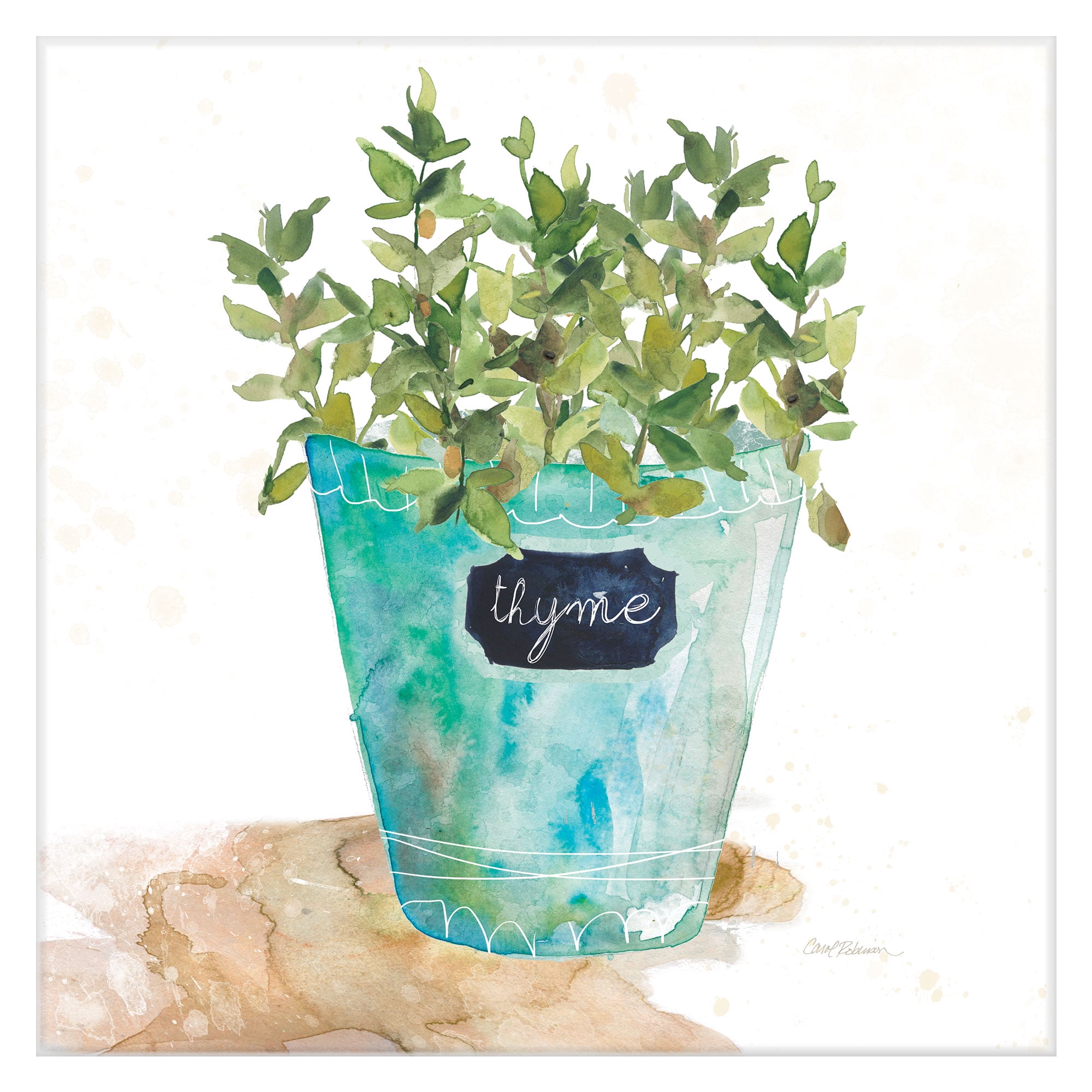 Masterpiece Art Gallery Potted Thyme By Carol Robinson Canvas Art Print 12" x 12"