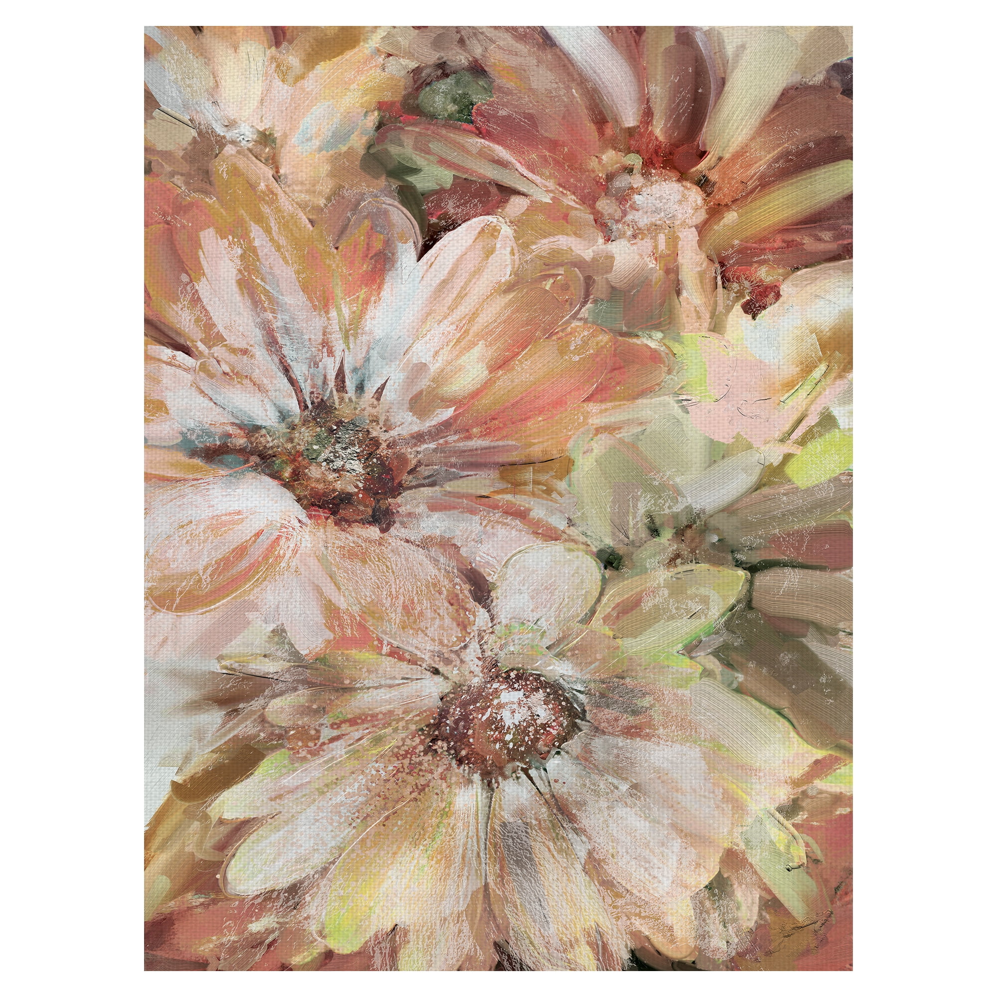 Masterpiece Art Gallery Precious Daisies Pink By Studio Arts Canvas Art Print 18" x 24"