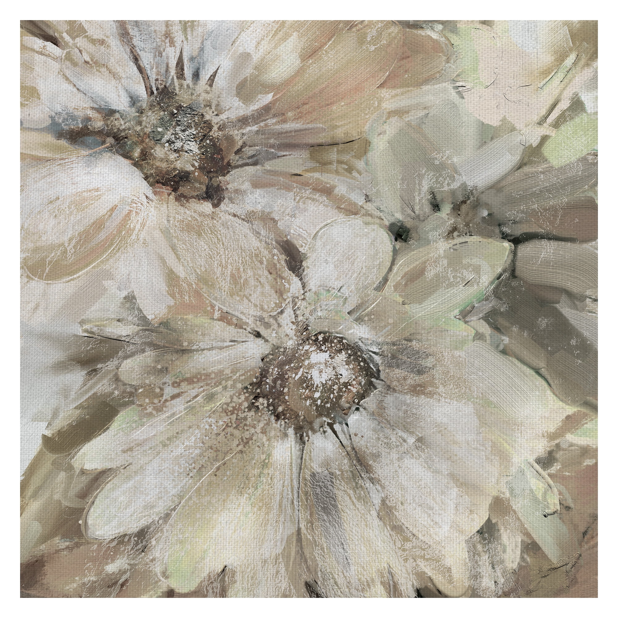 Masterpiece Art Gallery Precious Pink Daisies Soft Square by Studio Arts Canvas Art Print 24" x 24"