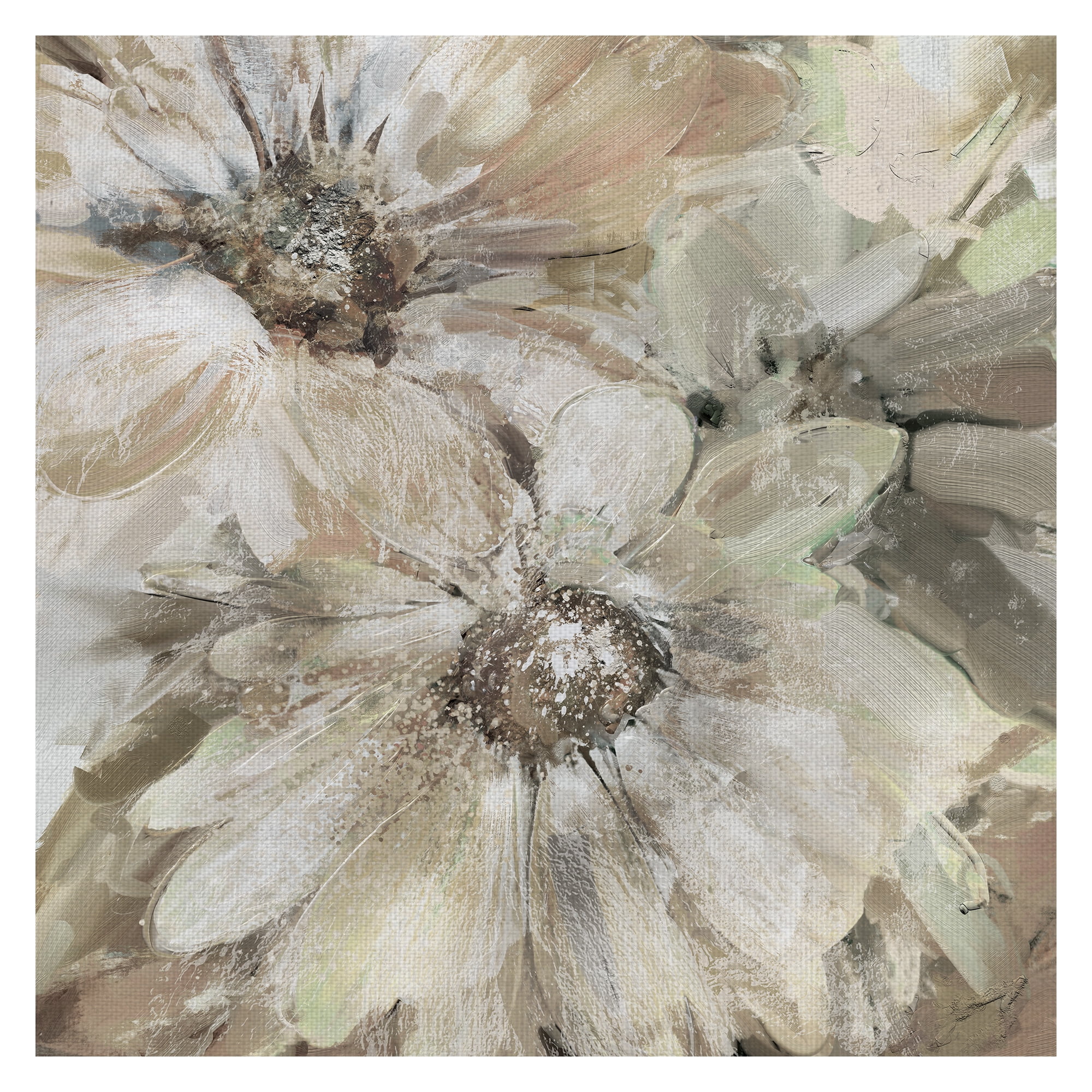 Masterpiece Art Gallery Precious Pink Daisies Soft Square by Studio Arts Canvas Art Print 30" x 30"