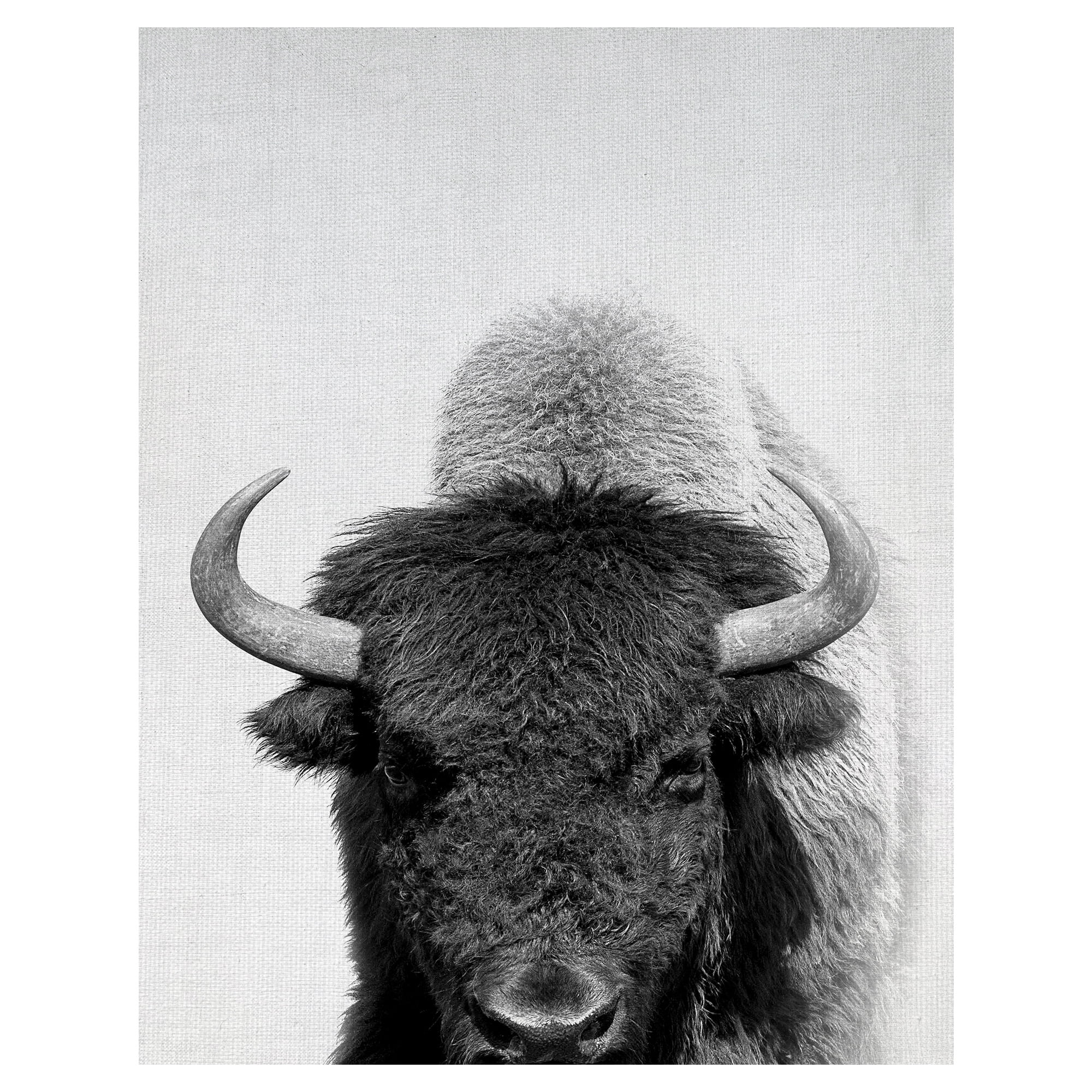Masterpiece Art Gallery Roaming Wild Bison By Belle Maison Canvas Art Print 22" x 28"