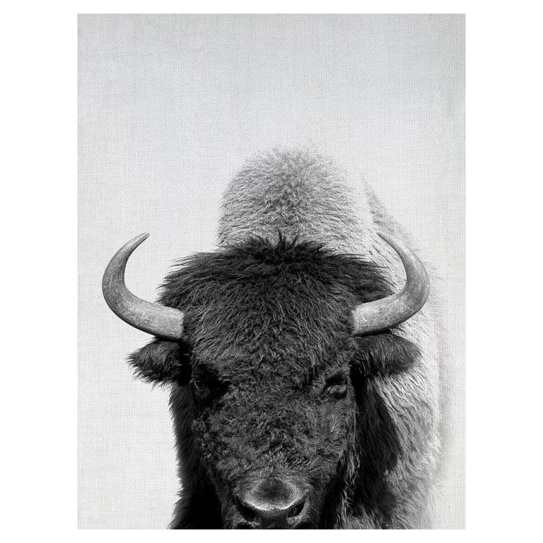 Masterpiece Art Gallery Wild Bison Canvas Print - 30 x 40