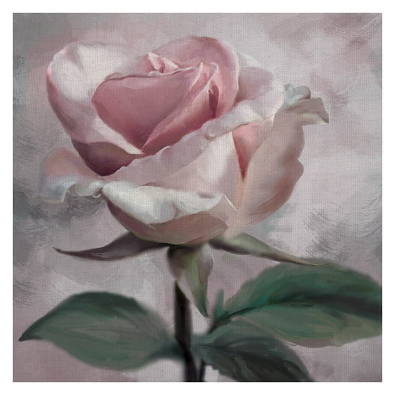 Masterpiece Art Gallery Rose Glow II Pink By Studio Arts Canvas Art Print 24" x 24"