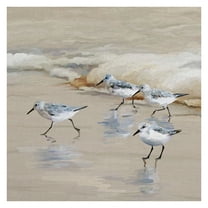 Masterpiece Art Gallery Sandpiper Beach I Amber By Studio Arts Canvas Art Print 24" x 24"