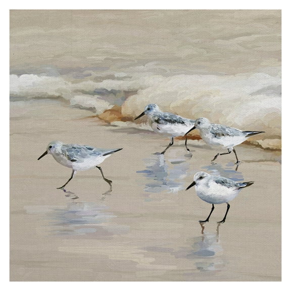 Masterpiece Art Gallery Sandpiper Beach I Amber By Studio Arts Canvas Art Print 24" x 24"