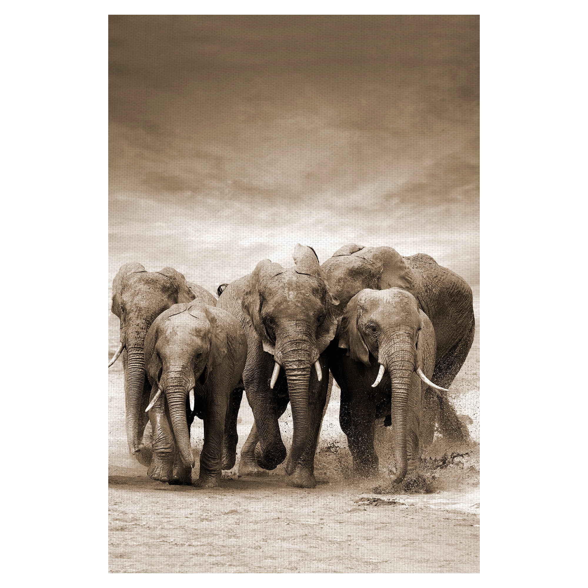 Masterpiece Art Gallery Sepia Herd Elephants By Belle Maison Canvas Art Print 24" x 36"