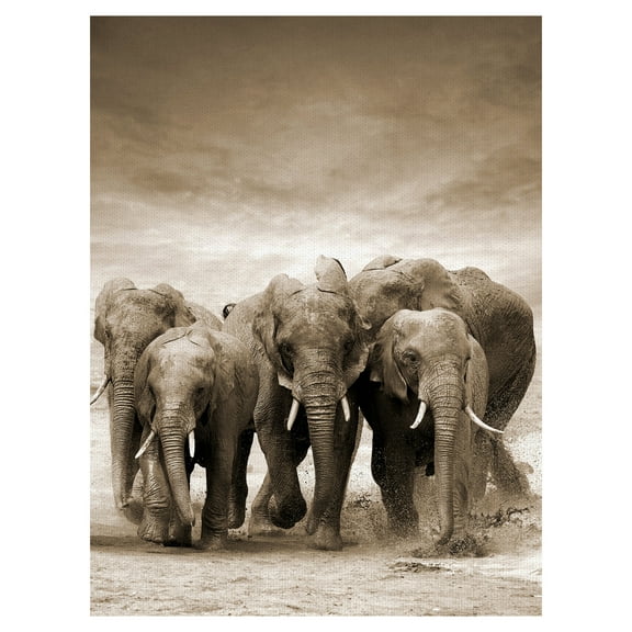 Masterpiece Art Gallery Sepia Herd Elephants By Belle Maison Canvas Art Print 30" x 40"