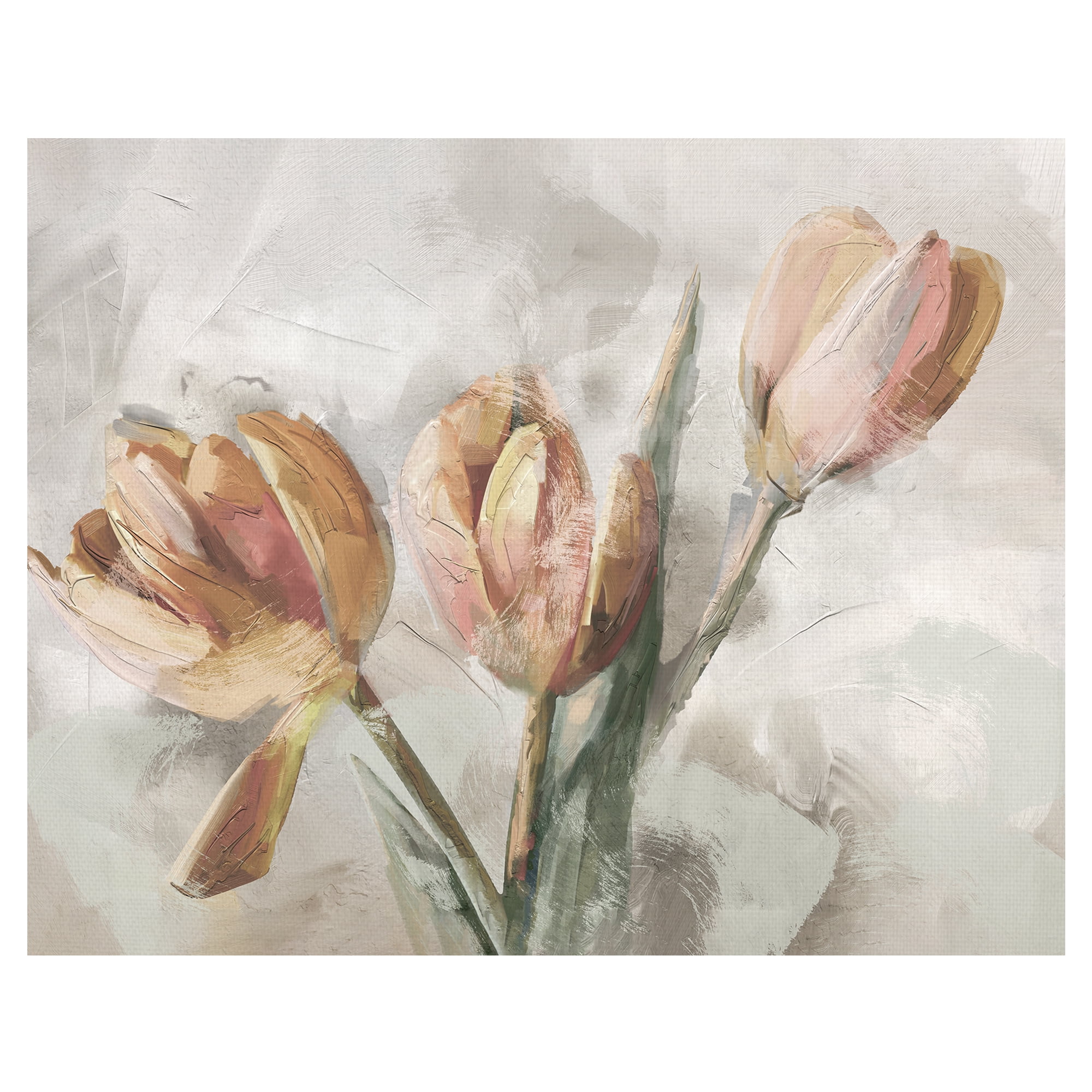 Masterpiece Art Gallery Simply Spring Peach Tulips by Studio Arts Canvas Art Print
