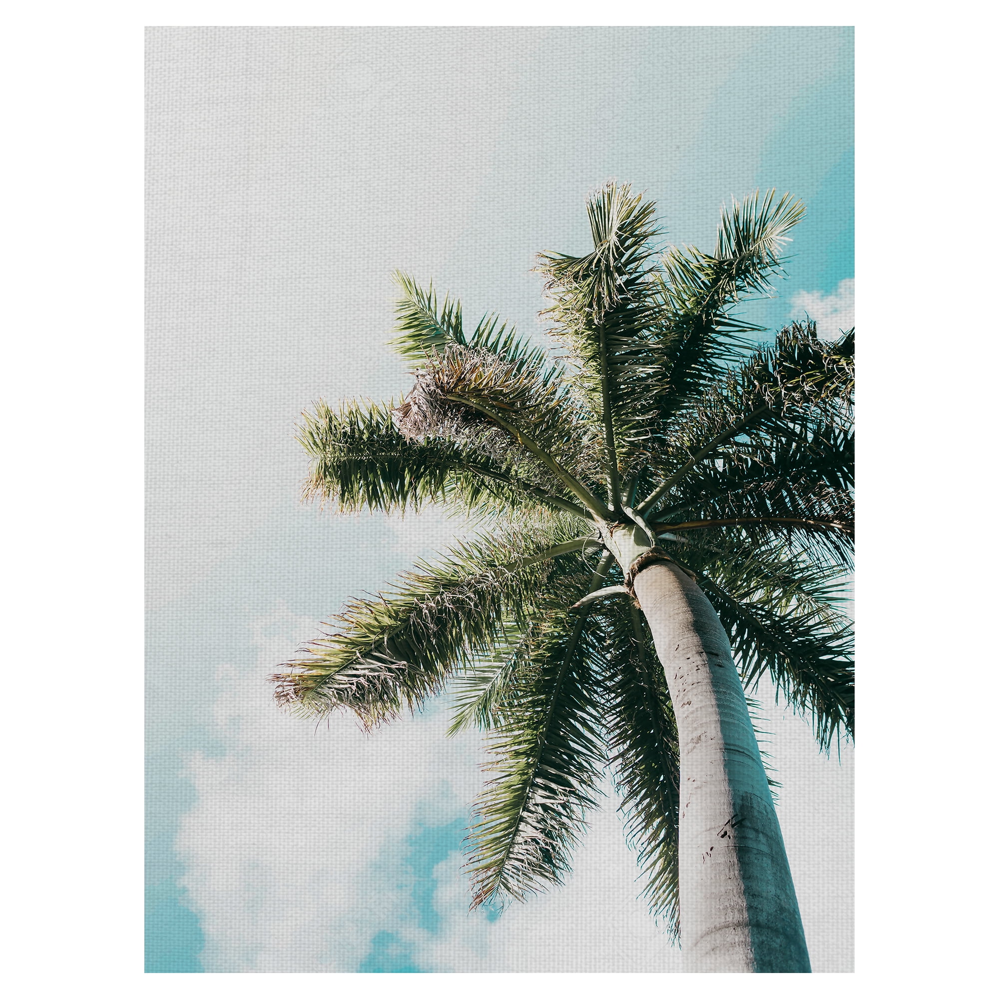 Masterpiece Art Gallery Skyward Palm Tree By Andrik Langfield Canvas Art Print 18" x 24"