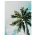 thumbnail image 1 of Masterpiece Art Gallery Skyward Palm Tree By Andrik Langfield Canvas Art Print 22" x 28", 1 of 4