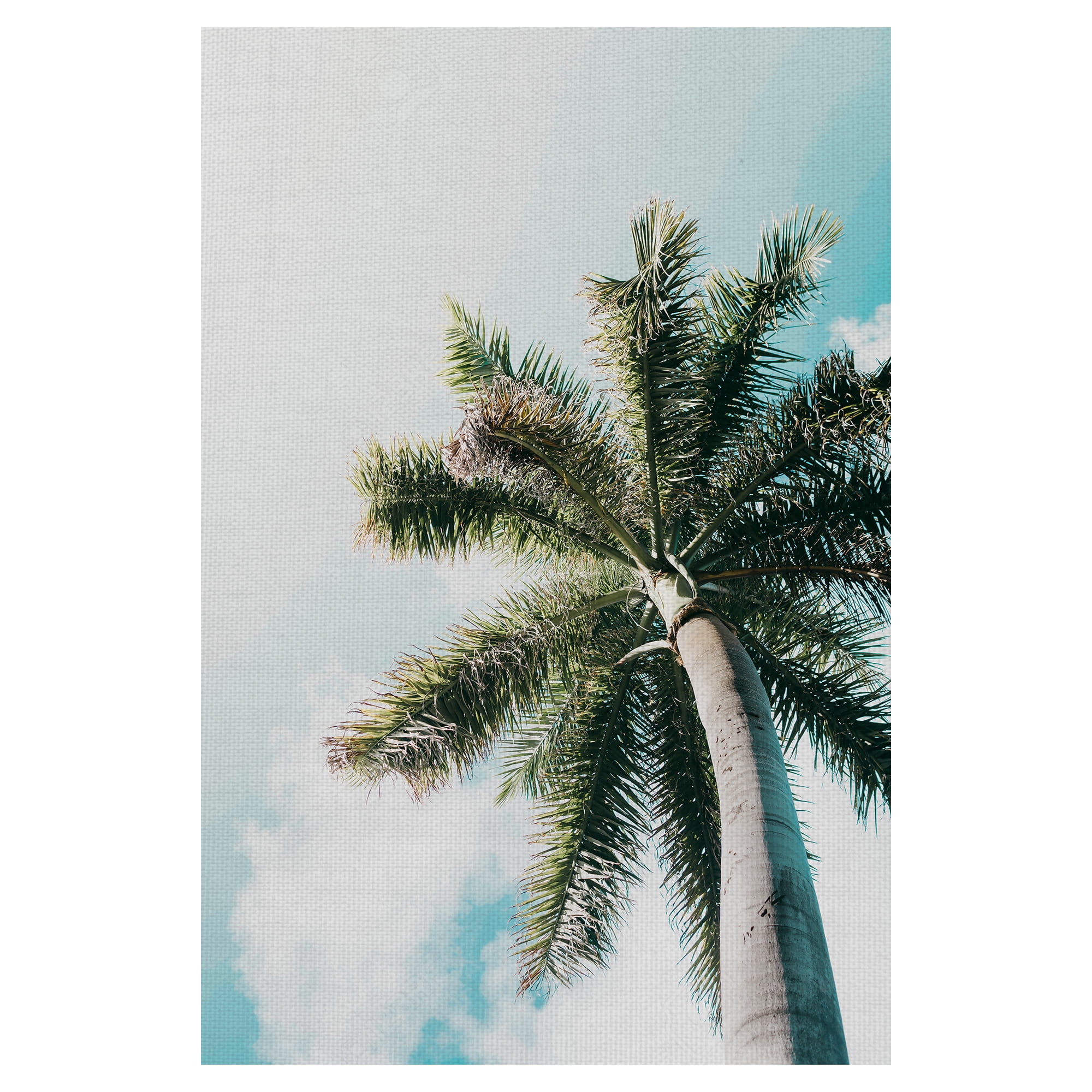 Masterpiece Art Gallery Skyward Palm Tree By Andrik Langfield Canvas Art Print 24" x 36"
