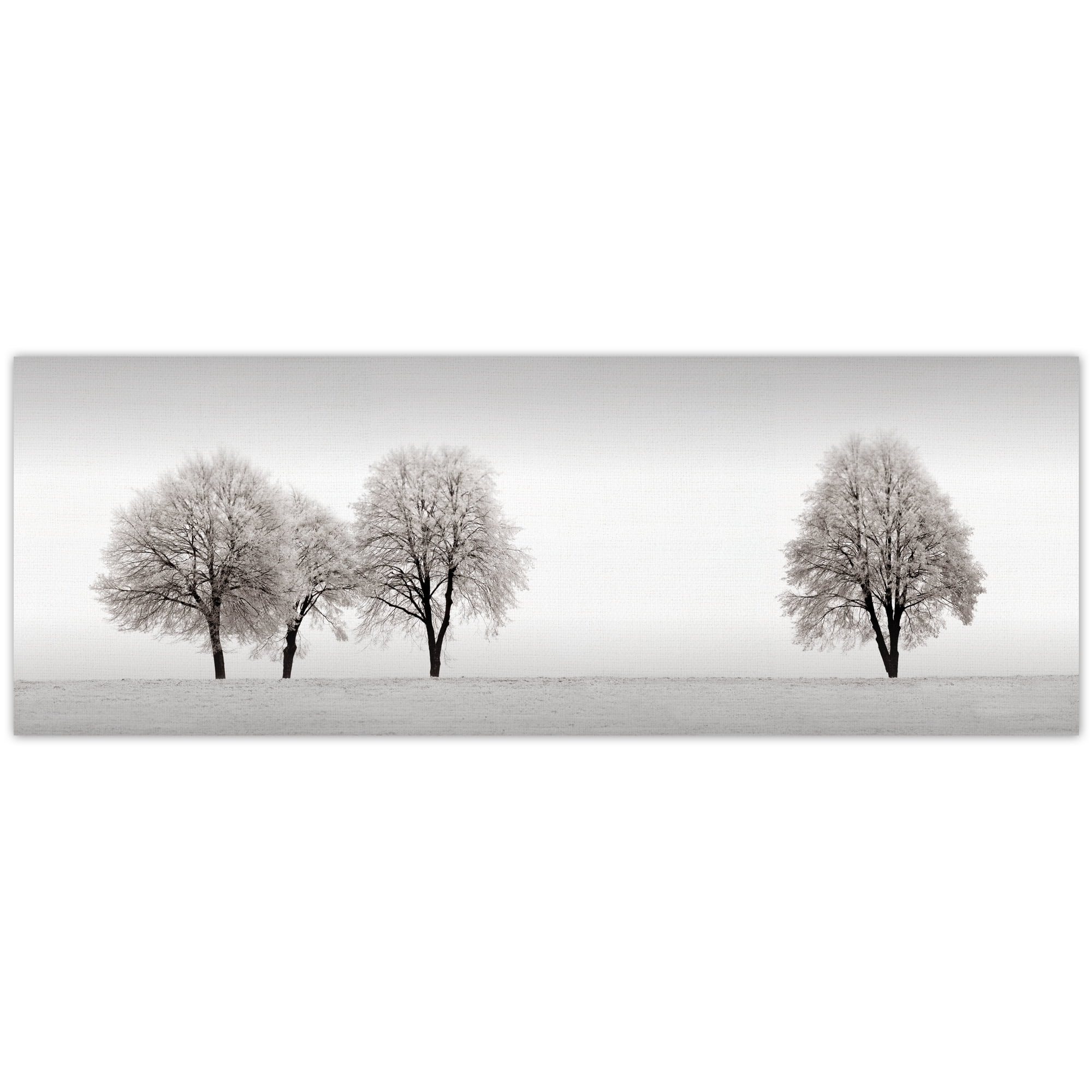 Masterpiece Art Gallery Snowy Tree Line by Ilona Wellmann Canvas Photo Graphic Art Print 12" x 36"