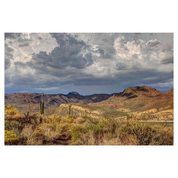 Masterpiece Art Gallery Stormy Desert by Robert Murray Canvas Art Print 24" x 36"