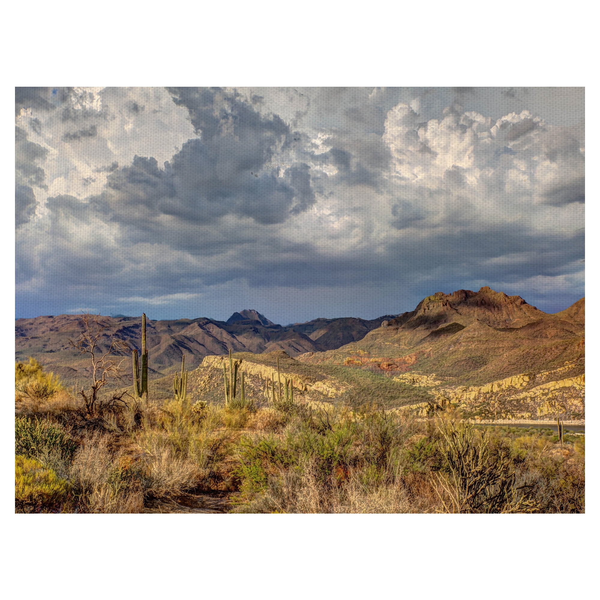 Masterpiece Art Gallery Stormy Desert by Robert Murray Canvas Art Print 30" x 40"