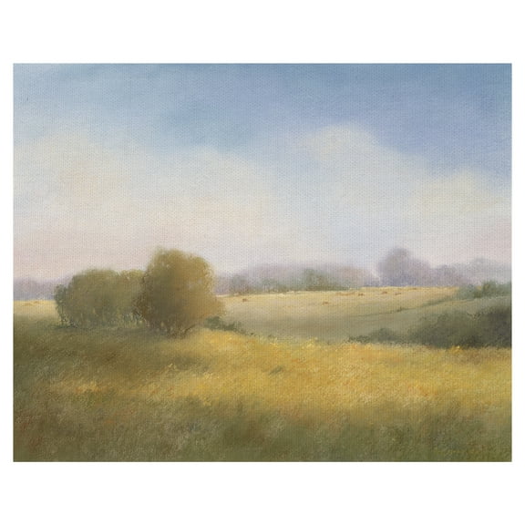 Masterpiece Art Gallery Summer Pastoral Sunny Hillside By Teri Jonas Canvas Art Print 22" x 28"