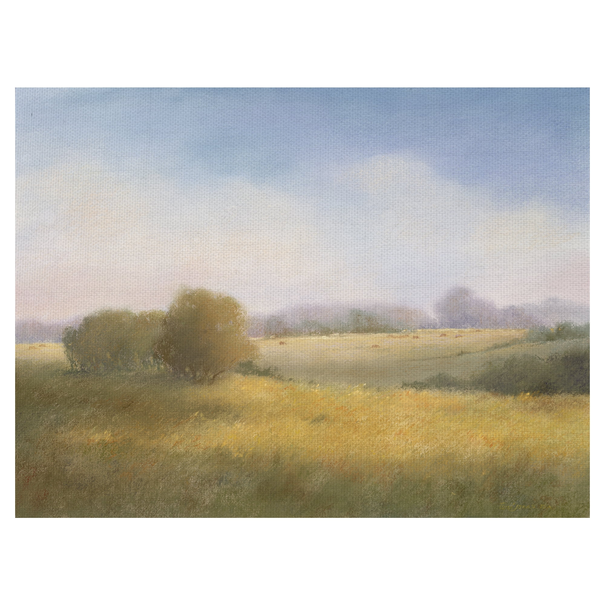 Masterpiece Art Gallery Summer Pastoral Sunny Hillside By Teri Jonas Canvas Art Print 30" x 40"