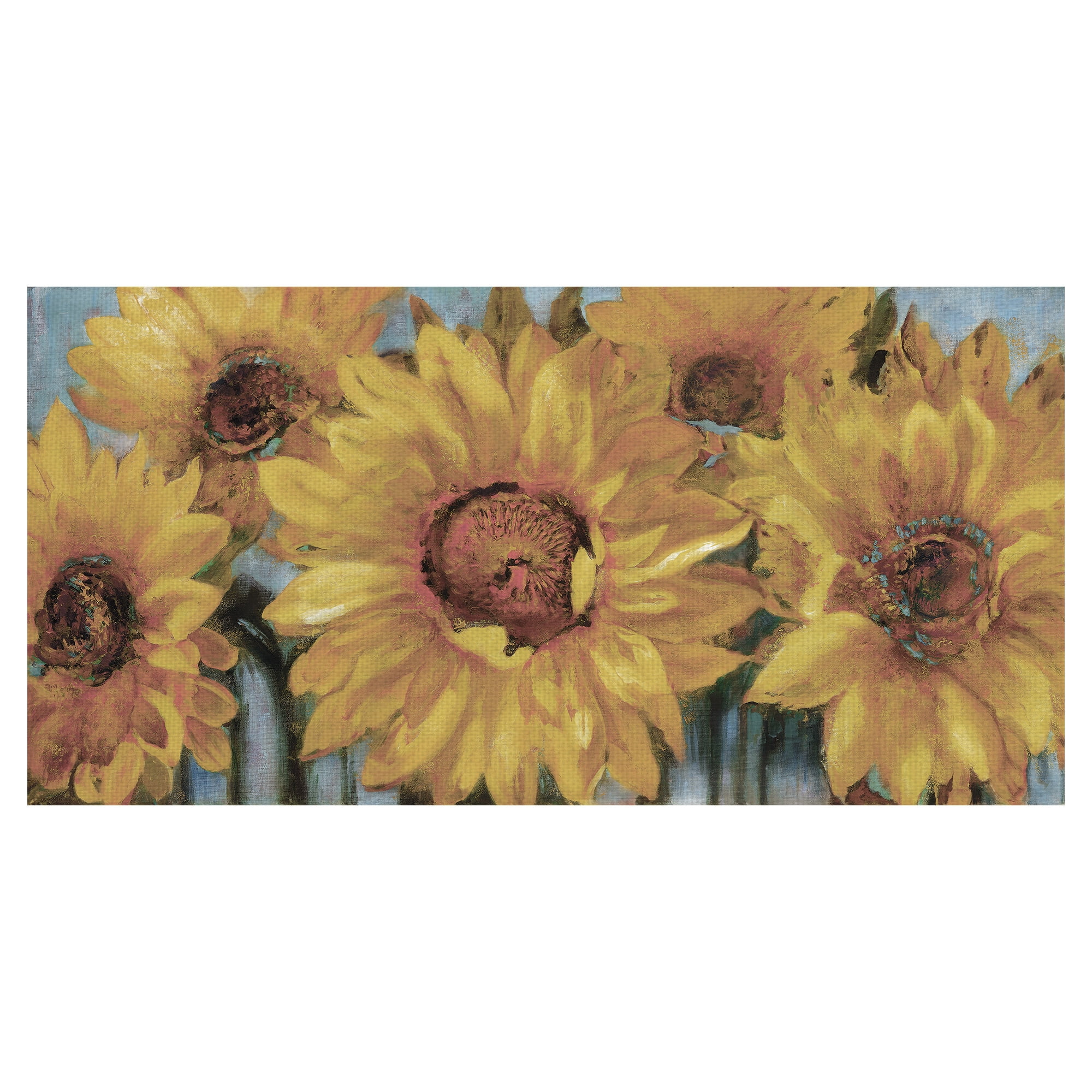 Masterpiece Art Gallery Sunburst I Soft Sunflowers By Sandy Doonan Canvas Art Print 24" x 48"