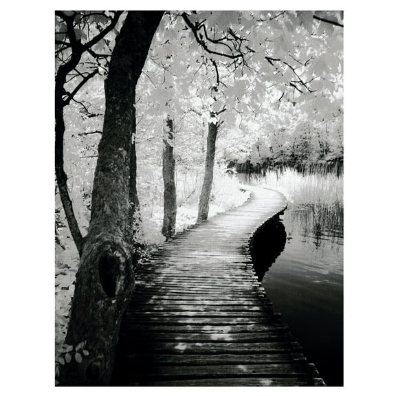 Masterpiece Art Gallery Take A Walk Lakeside By Ilona Wellmann Canvas Art Print 18" x 24"