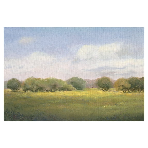 Masterpiece Art Gallery The Land At Peace Summertime Meadow By Teri Jonas Canvas Art Print 24" x 36"