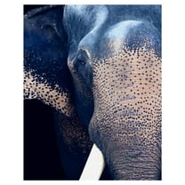 Masterpiece Art Gallery Titan The Elephant By Belle Maison Canvas Art Print 22" x 28"